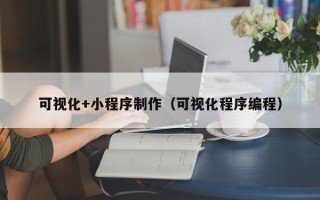 资兴可视化+小程序制作（可视化程序编程）